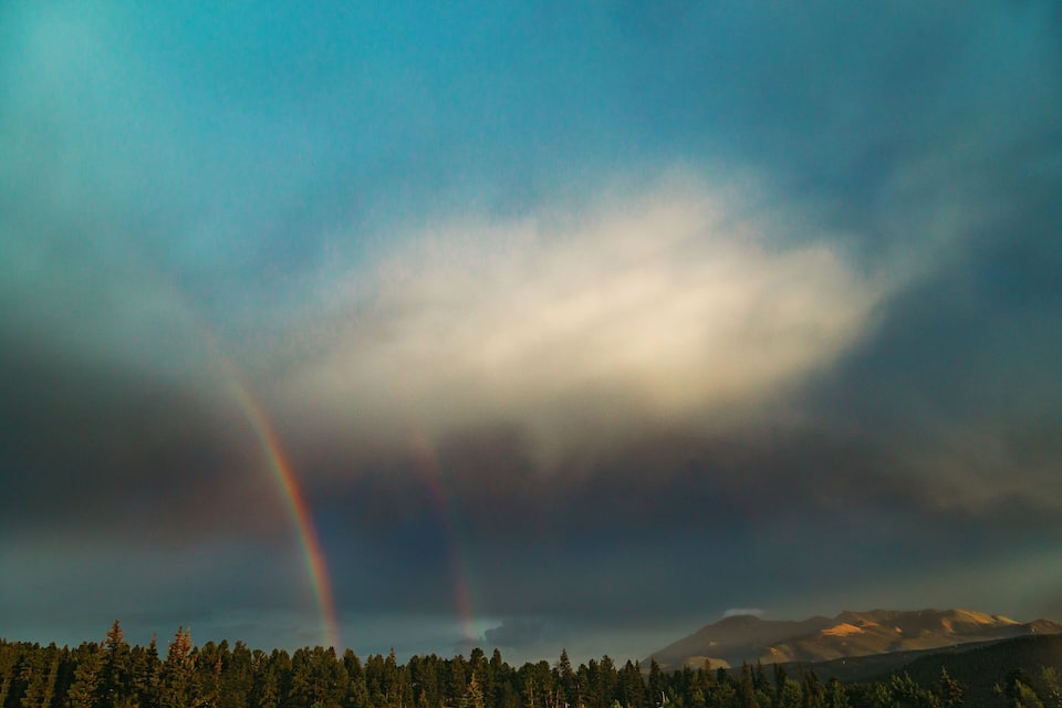 A forest with a mountain range in the background and a rainbow in the sky.