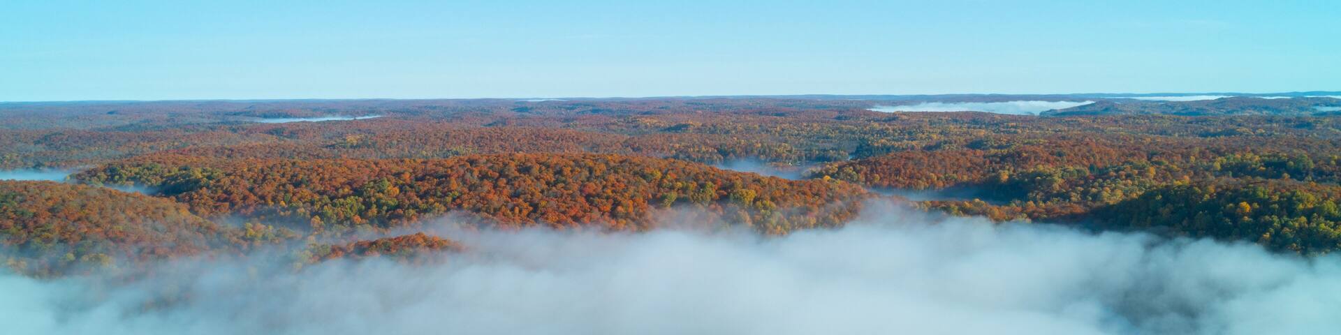 A forested landscape with autumn foliage and a valley shrouded in mist.