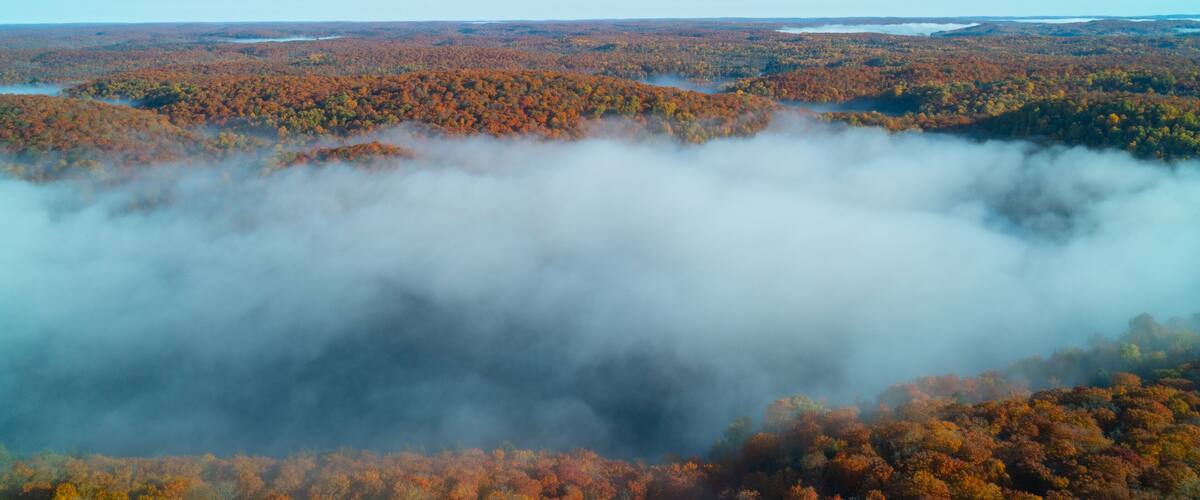 A forested landscape with autumn foliage and a valley shrouded in mist.
