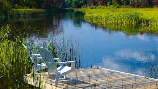 A Summer Happy Place in Dysart et al