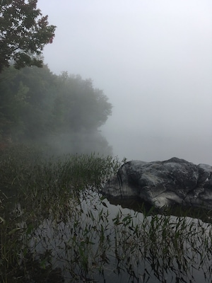 Foggy morning on the lake.