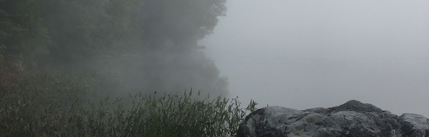 Foggy morning on the lake.
