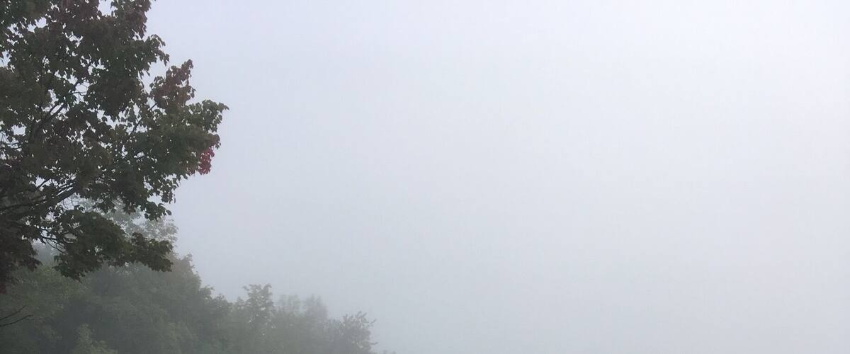 A foggy landscape with a rock formation and dense vegetation.