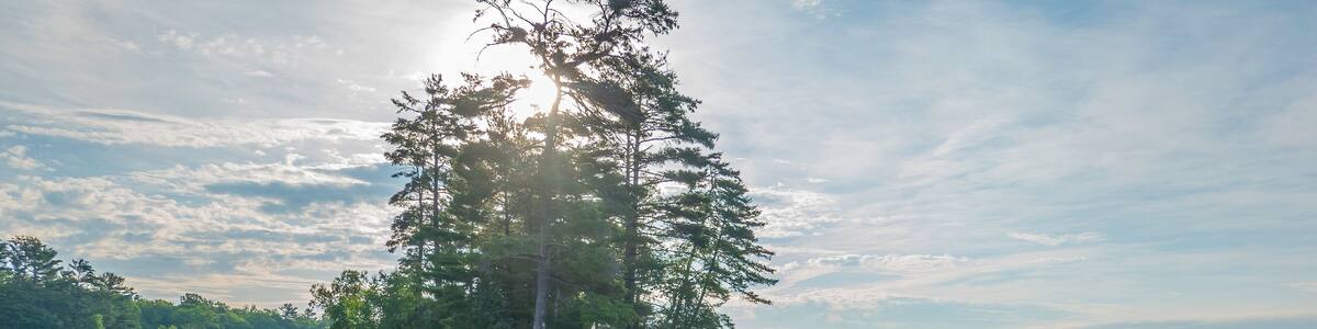Stony Lake Early Morning