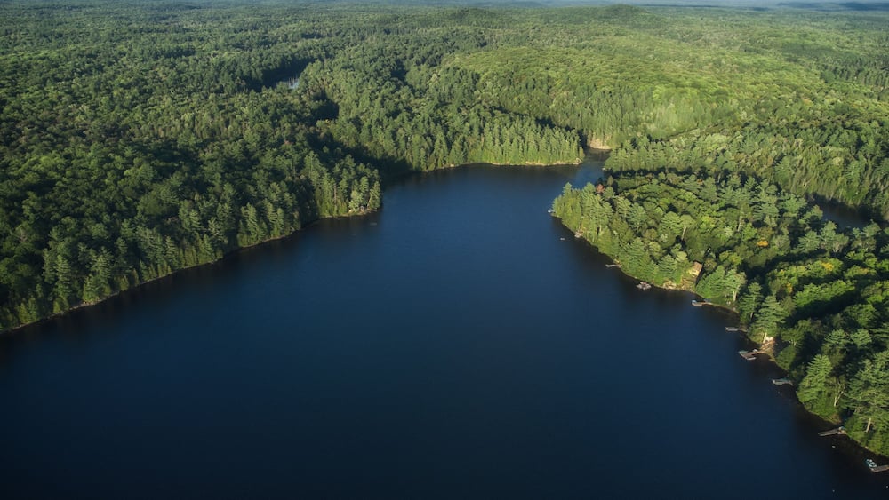 Ein großer See, umgeben von dichtem Wald.