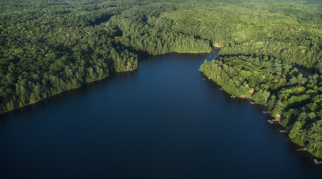 A large lake surrounded by dense forest.