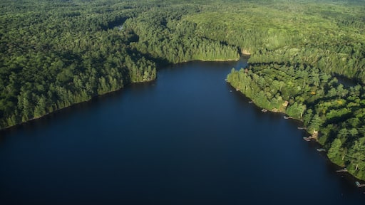 A large lake surrounded by dense forest.