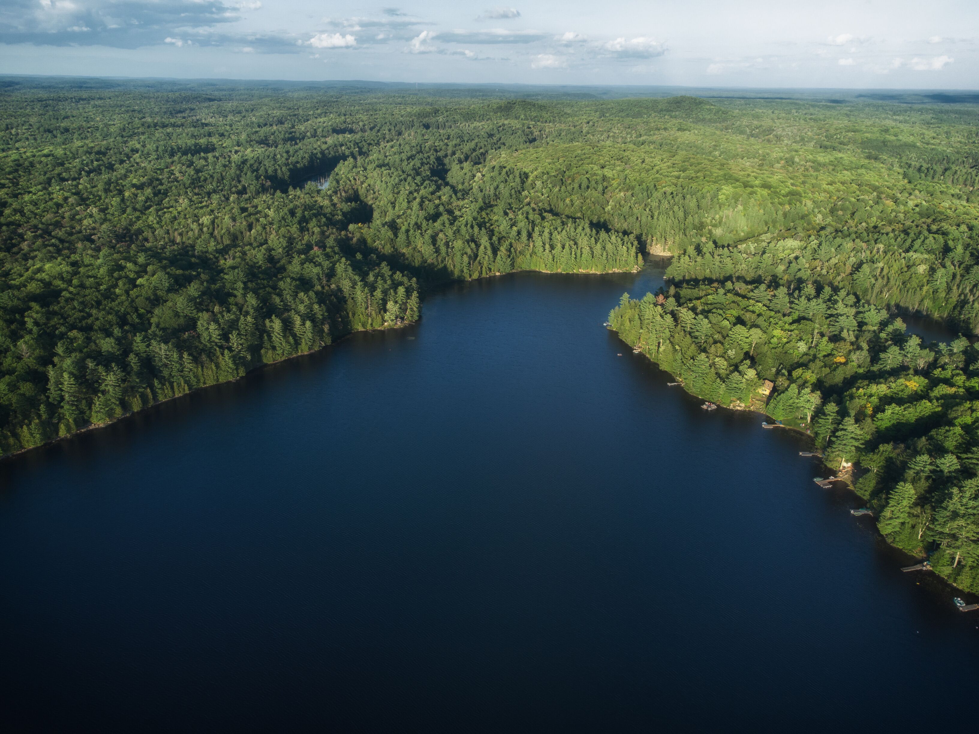 A large lake surrounded by dense forest.