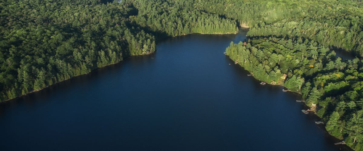 A large lake surrounded by dense forest.