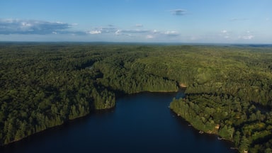Buckskin Lake on a late summer afternoon. Aerial above the expansive evergreen wilderness of crown land in Tory Hill, Highlands East, Ontario, Canada.