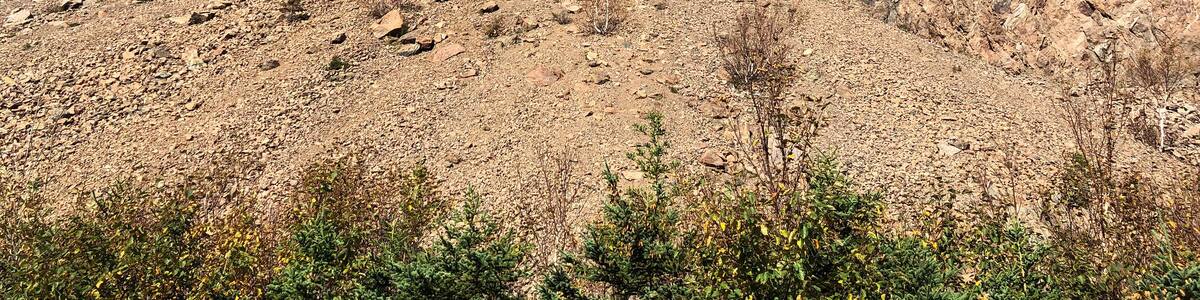 Cape Breton, Nova Scotia scenery along the Cabot Trail in Highlands National Park