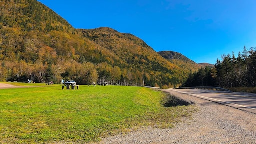 ํ์ด๋๋ ์ด์คํธ