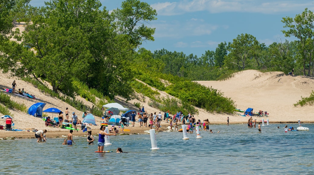 Sandbanks Provincial Park showing a beach, swimming and general coastal views