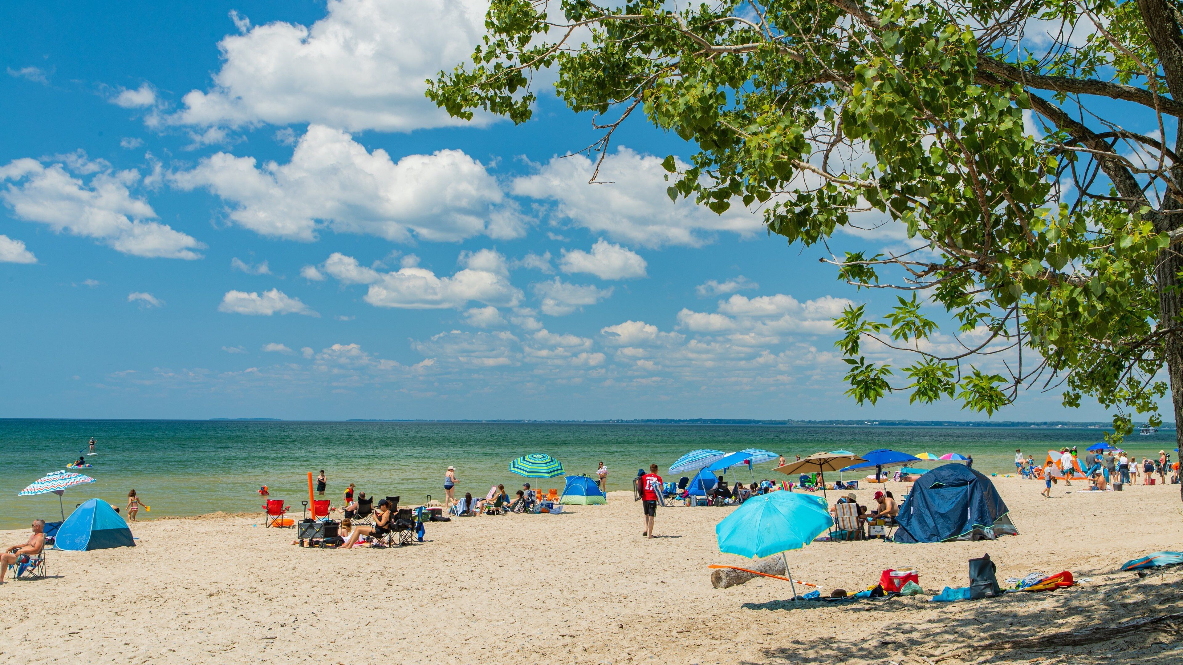 Sandbanks Provincial Park featuring general coastal views and a sandy beach