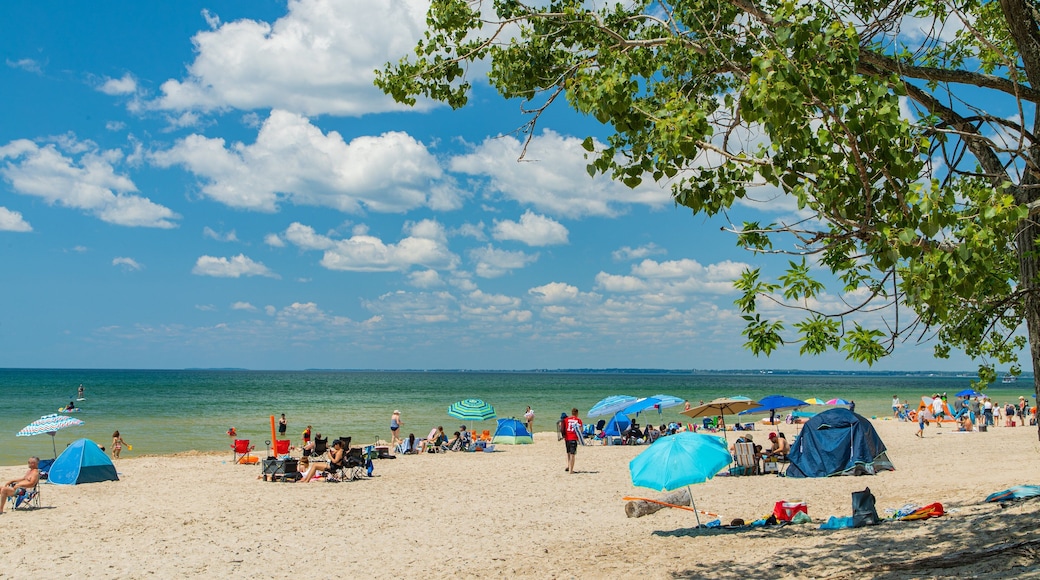 Sandbanks Provincial Park featuring general coastal views and a sandy beach