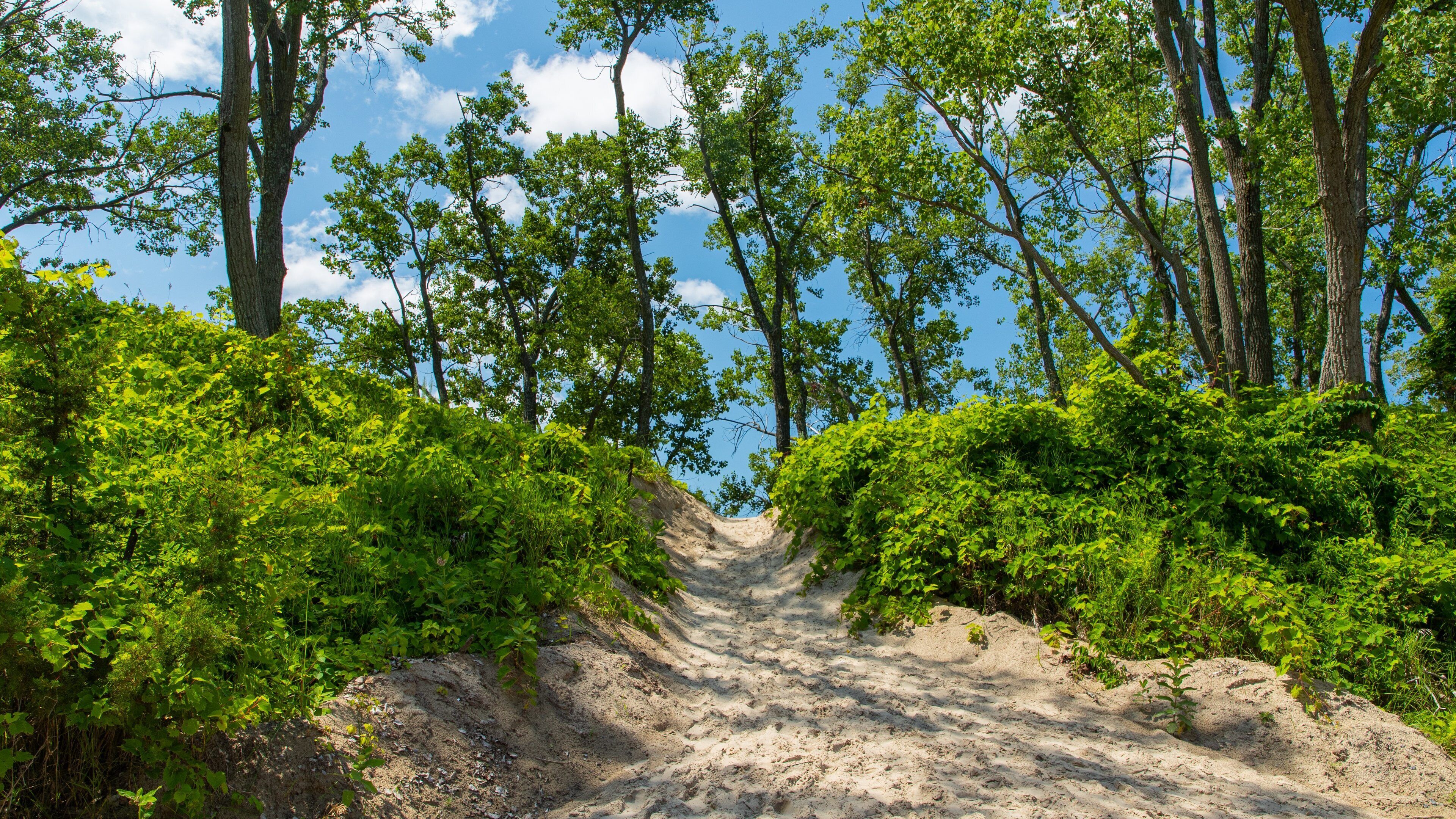 Sandbanks Provincial Park featuring a sandy beach