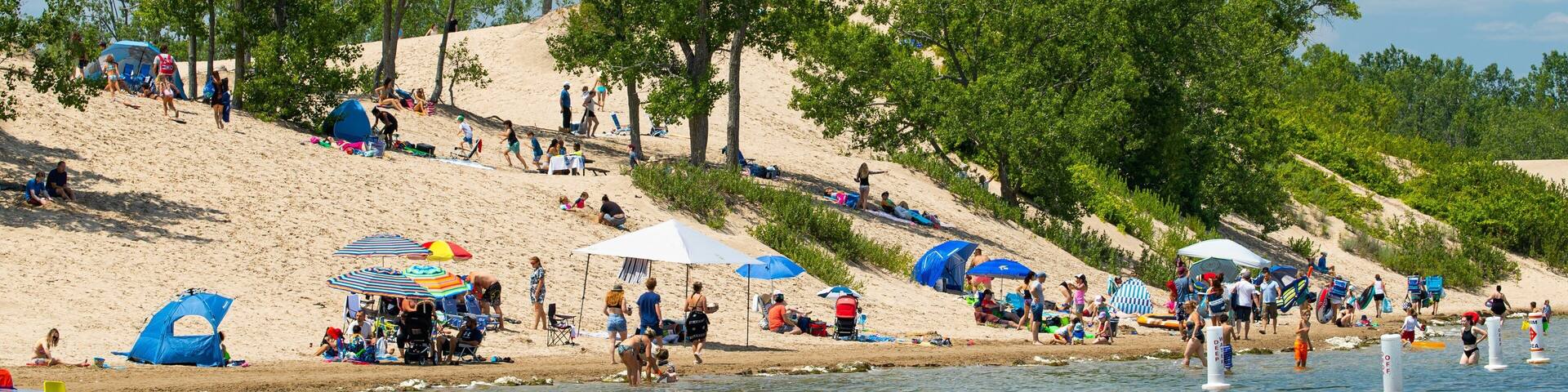 A beach with people sunbathing and swimming, surrounded by trees and sand dunes.