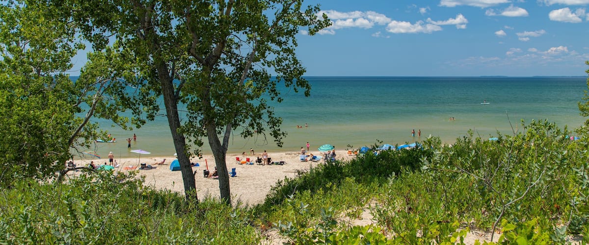 Sandbanks Provincial Park which includes a beach and general coastal views