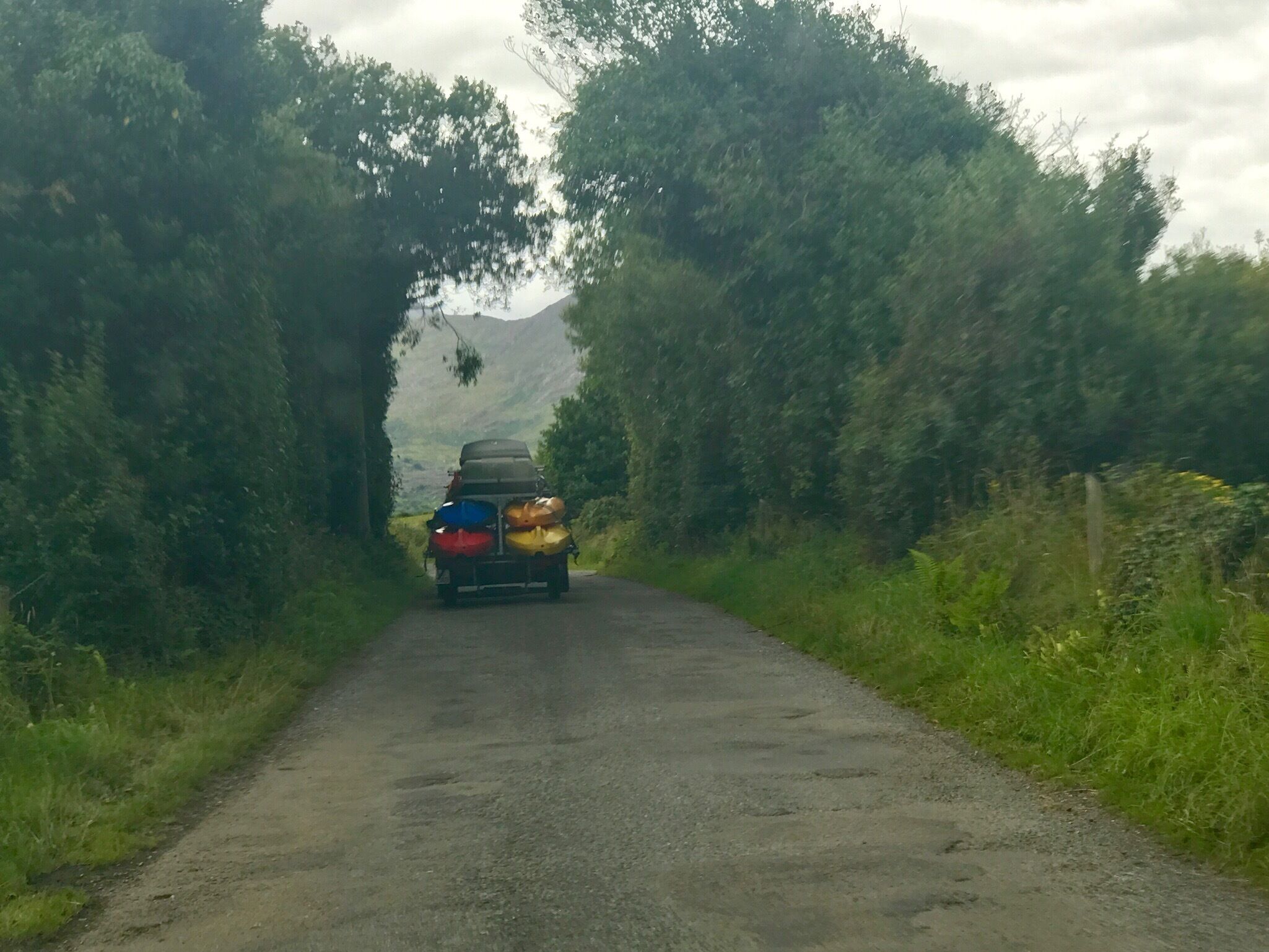 A narrow road flanked by dense greenery, leading towards a mountainous backdrop.