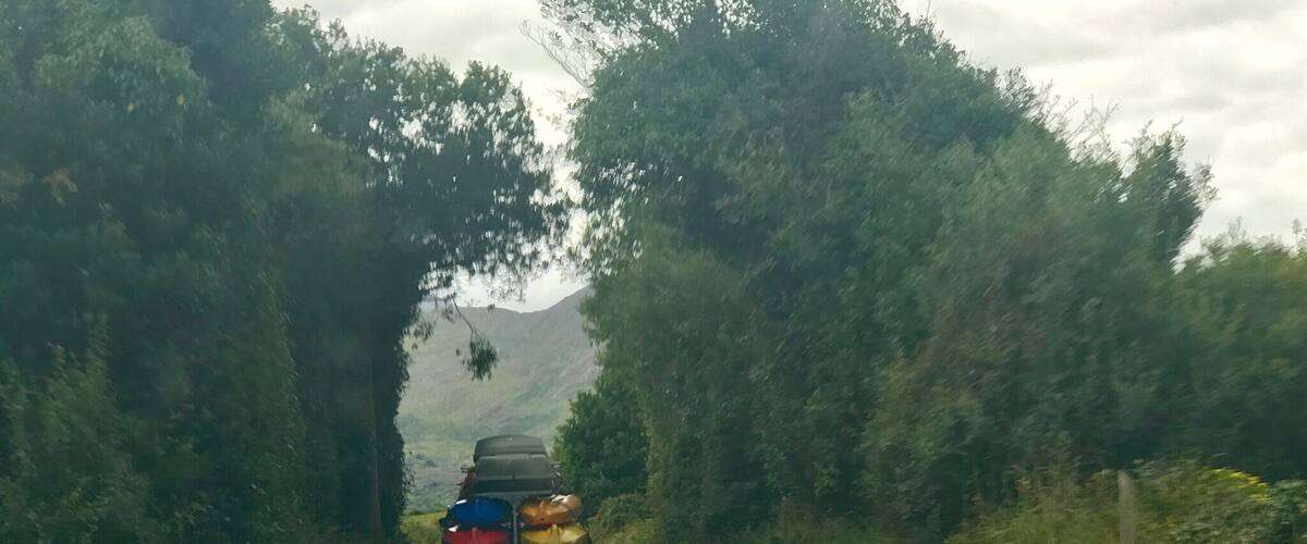 A narrow road flanked by dense greenery, leading towards a mountainous backdrop.