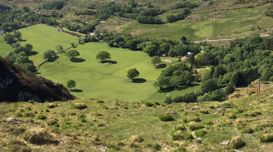 Fun hike with great views (and lots of sheep)