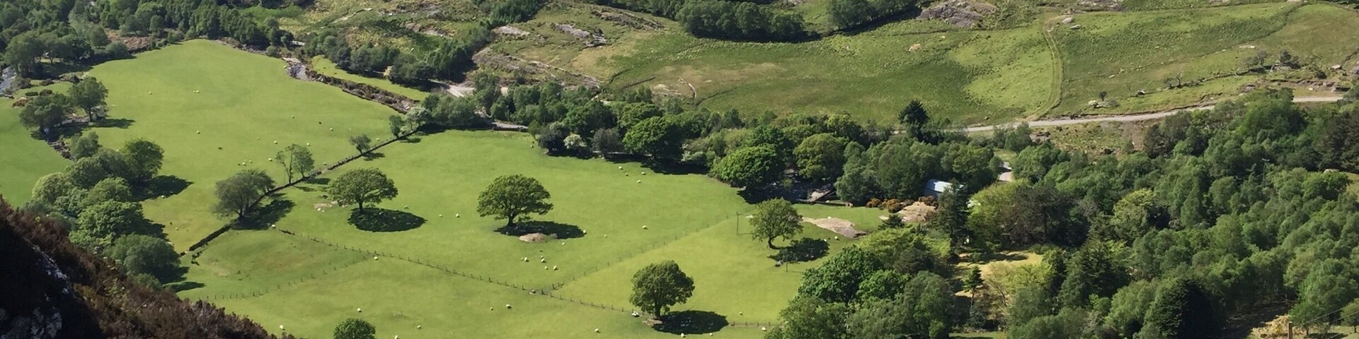 Fun hike with great views (and lots of sheep)