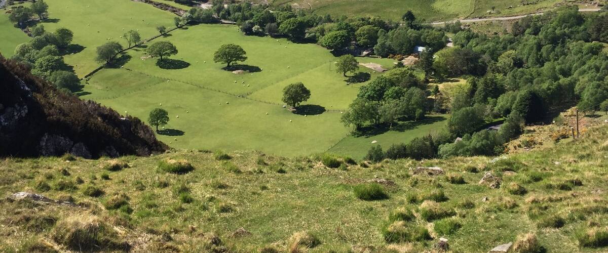 A lush green valley with a lake and scattered trees.