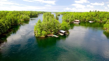 A river surrounded by dense green forest with a small dock and a cabin.