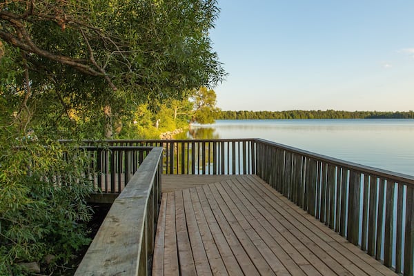 A wooden dock extending over calm water, surrounded by dense greenery and trees.