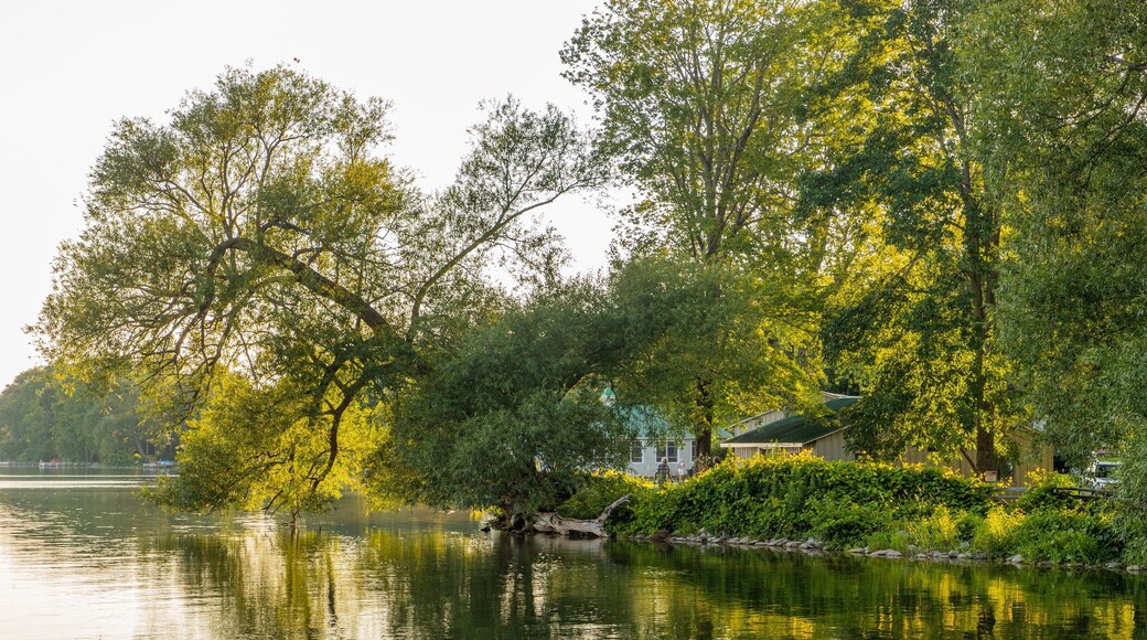Lake on the Mountain Provincial Park featuring a lake or waterhole