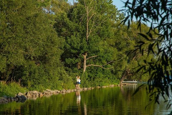 Lake on the Mountain Provincial Park showing a lake or waterhole as well as a couple
