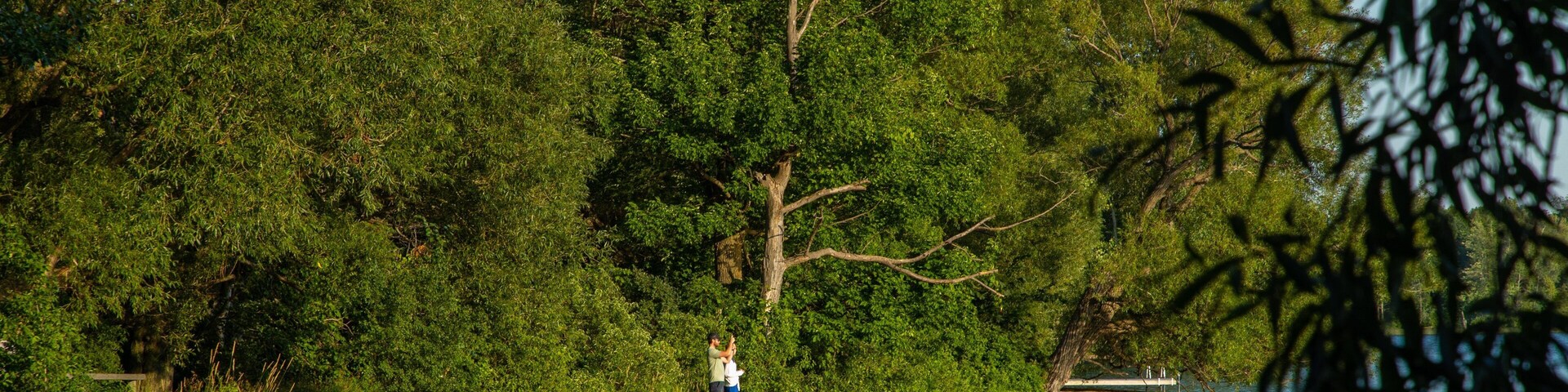 Lake on the Mountain Provincial Park showing a lake or waterhole as well as a couple