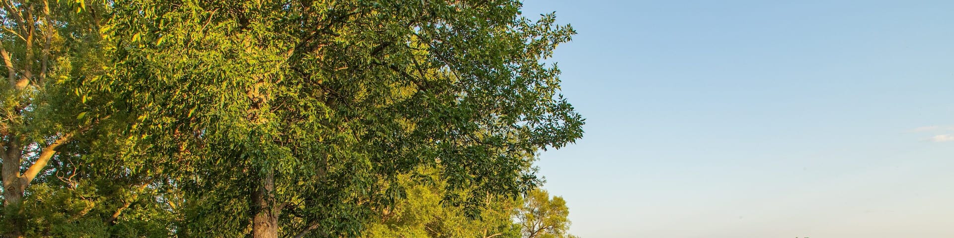 Lake on the Mountain Provincial Park which includes a lake or waterhole and a sunset