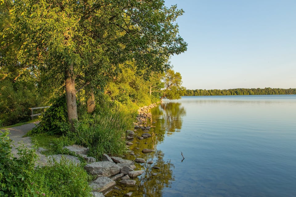Un lago tranquilo con orilla rocosa, rodeado de follaje verde y árboles.
