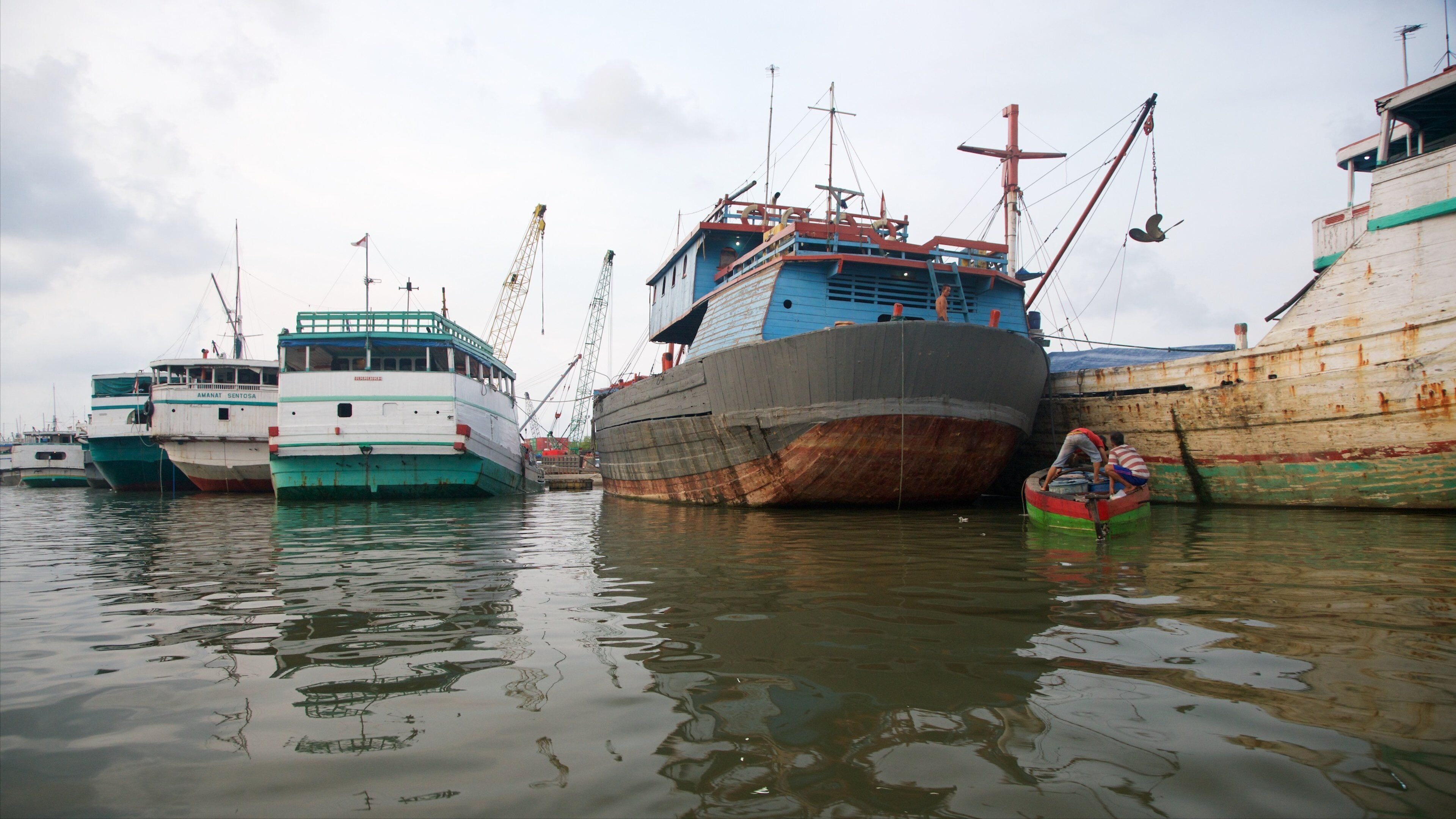 Un puerto con varios barcos grandes y oxidados amarrados.