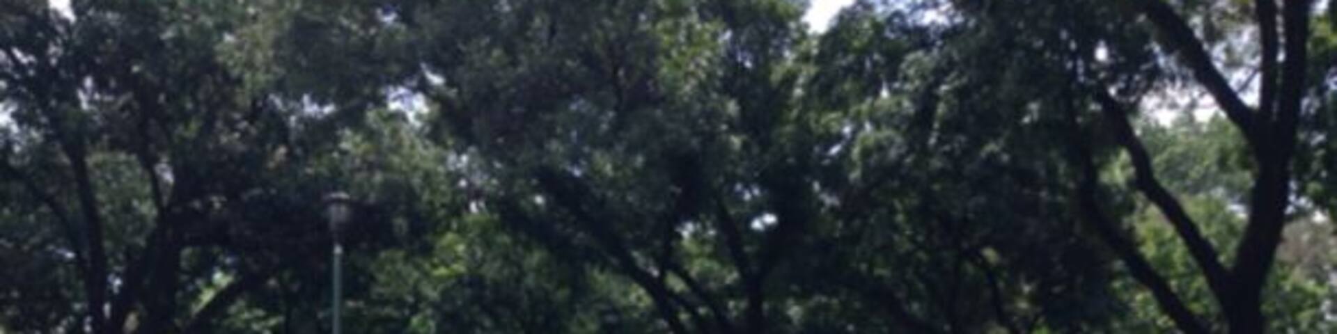 Central of Jakarta on Election Day. The US Ambassador's house and Jakarta Governor's house are right at this park. The tents are normally not around, only for the election. Most dwellers in this up-scale neighborhood don't normally meet or even see their neighbors. But, on Election Day it is the only time when they meet each other.
The legislative election went smoothly. The organizers at this spot provided free water, juice, ice tea, ice coffee and local chicken porridge. Quite a surprise to see how organized they are. It's once every five years to see this spectacle.