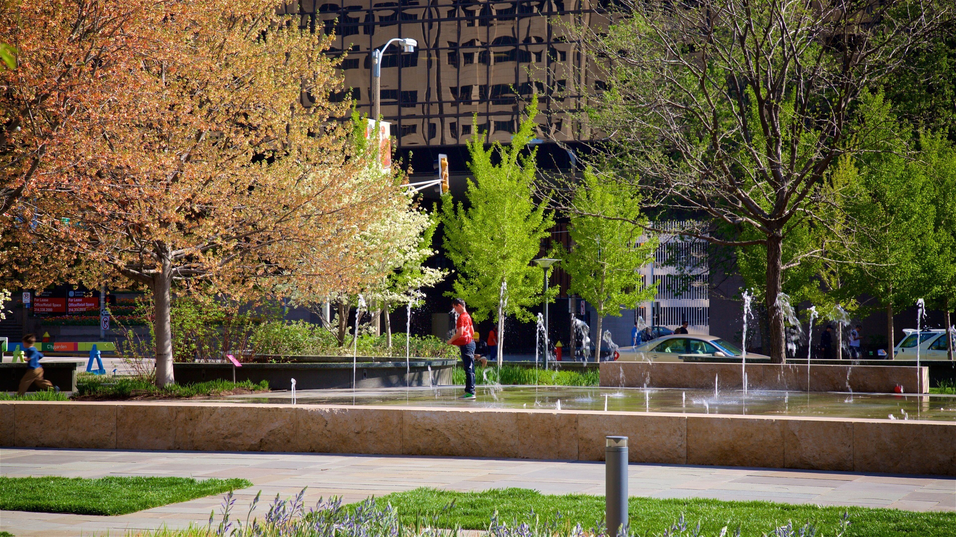 Citygarden which includes a park and a fountain as well as an individual child