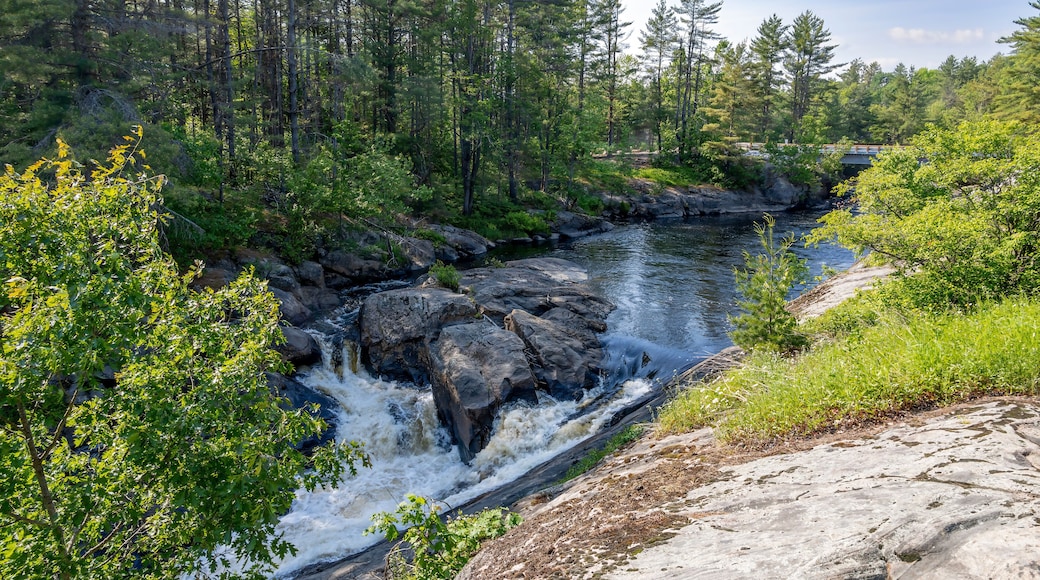 Beautiful scene of Victoria Falls in Washago, Ontario, showcasing serene nature and flowing waters amidst lush greenery.