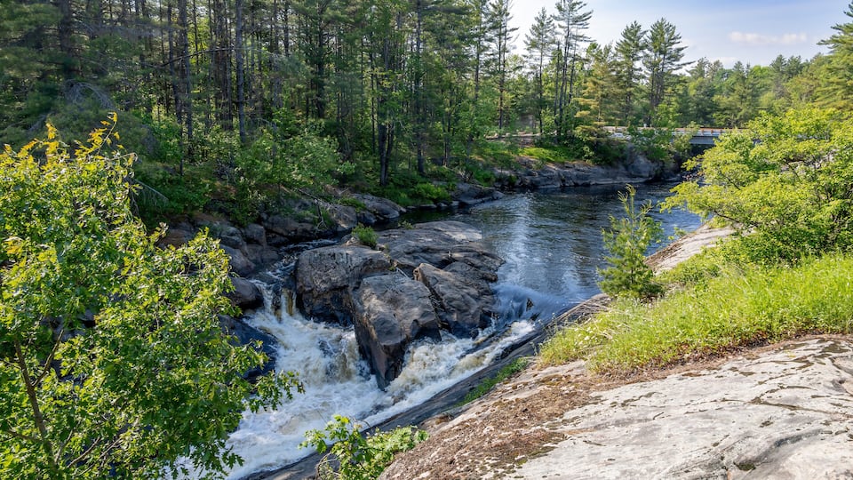 A river flowing through a forest with a rocky bed and a bridge in the background.