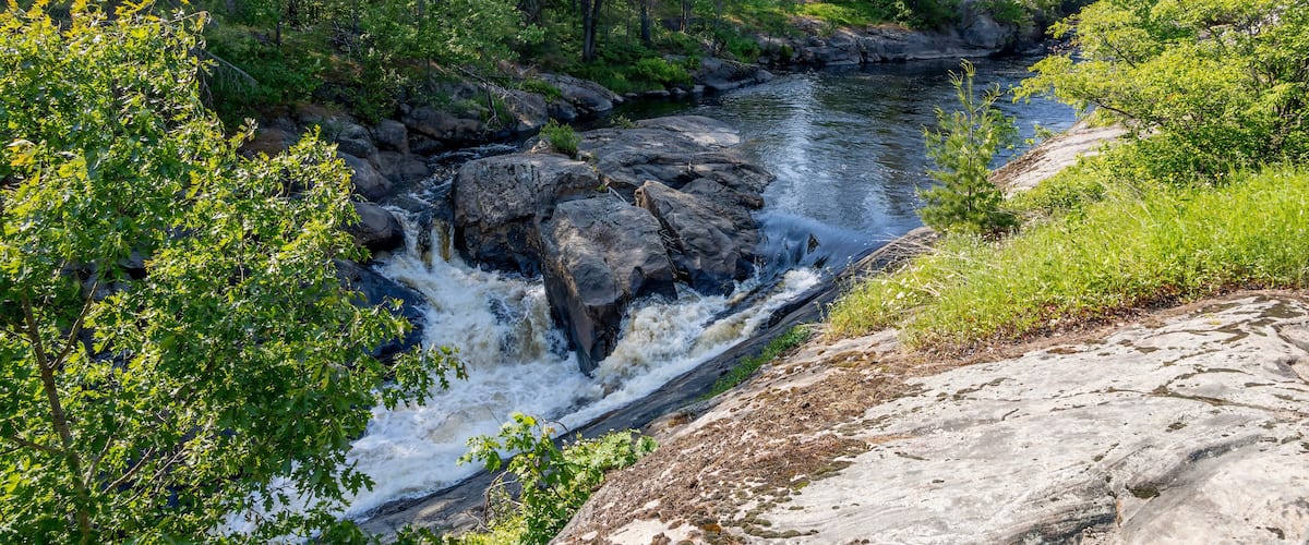 A river flowing through a forest with a rocky bed and a bridge in the background.