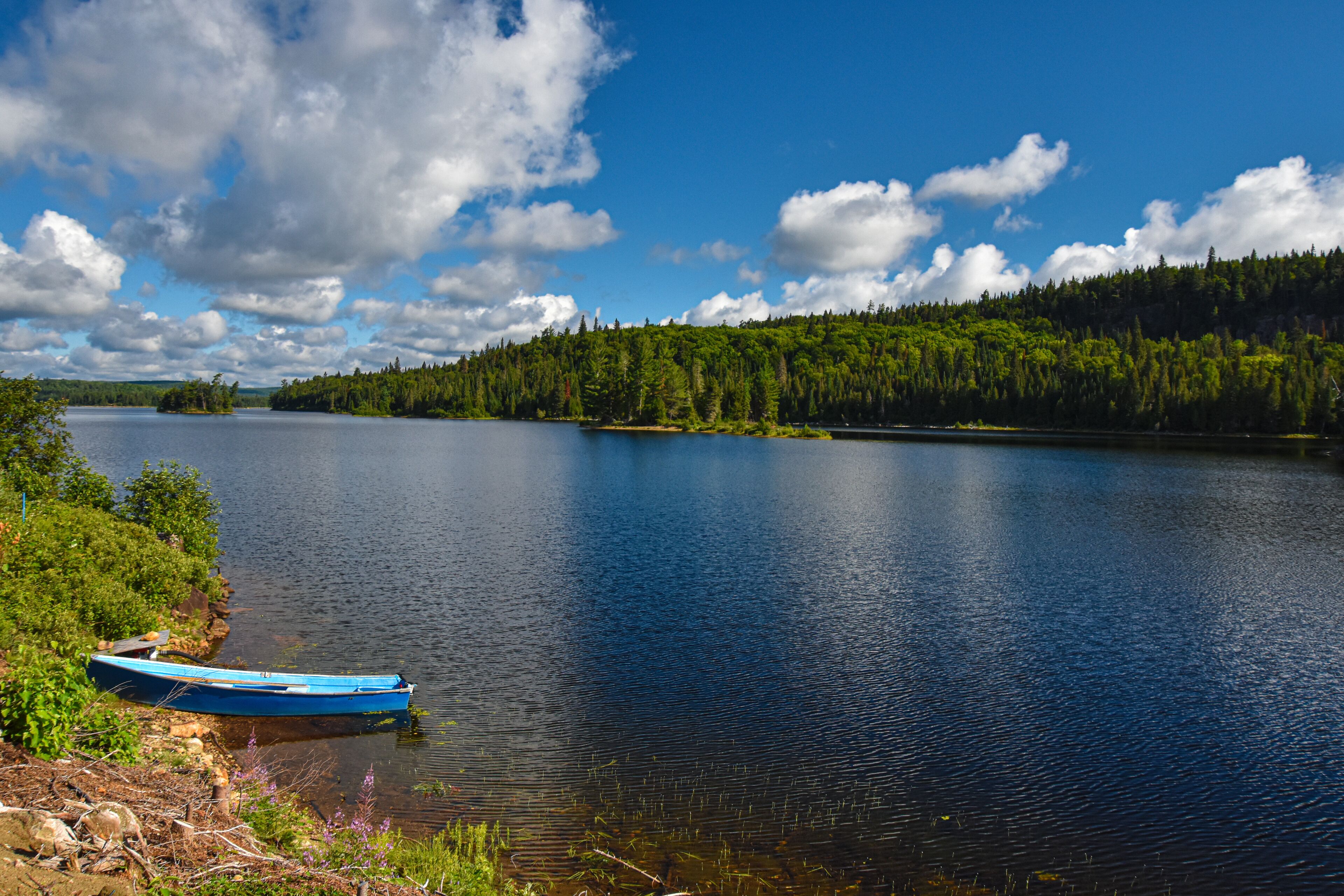 Superb large fishing lake in a protected area in Quebec