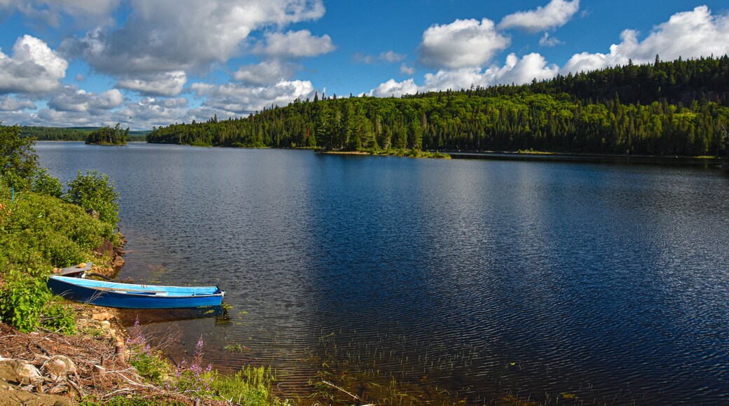 Superb large fishing lake in a protected area in Quebec
