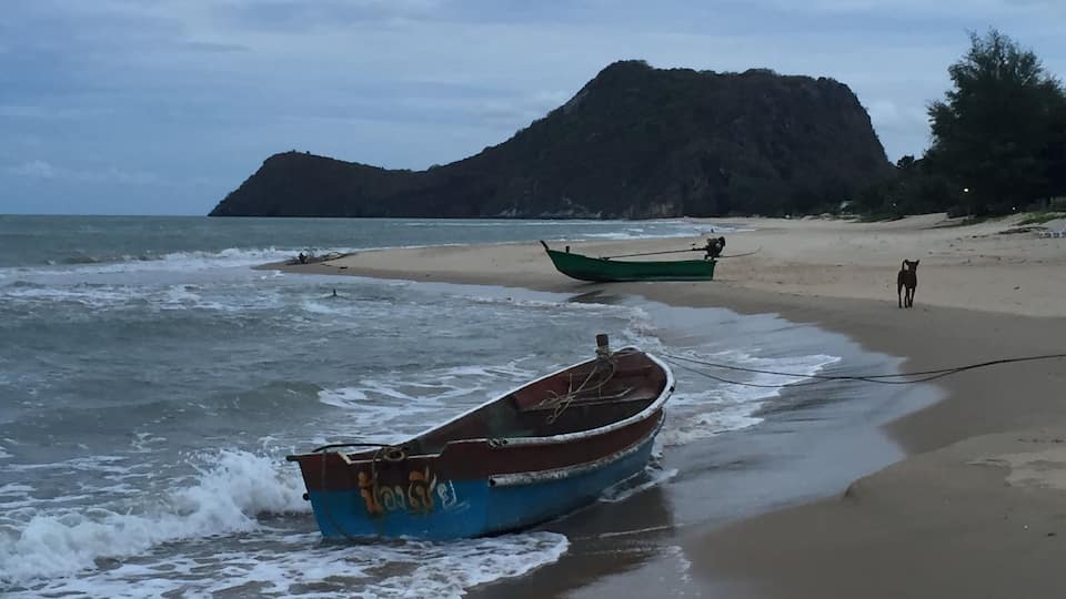A beach with two boats, a dog, and a mountain in the background.