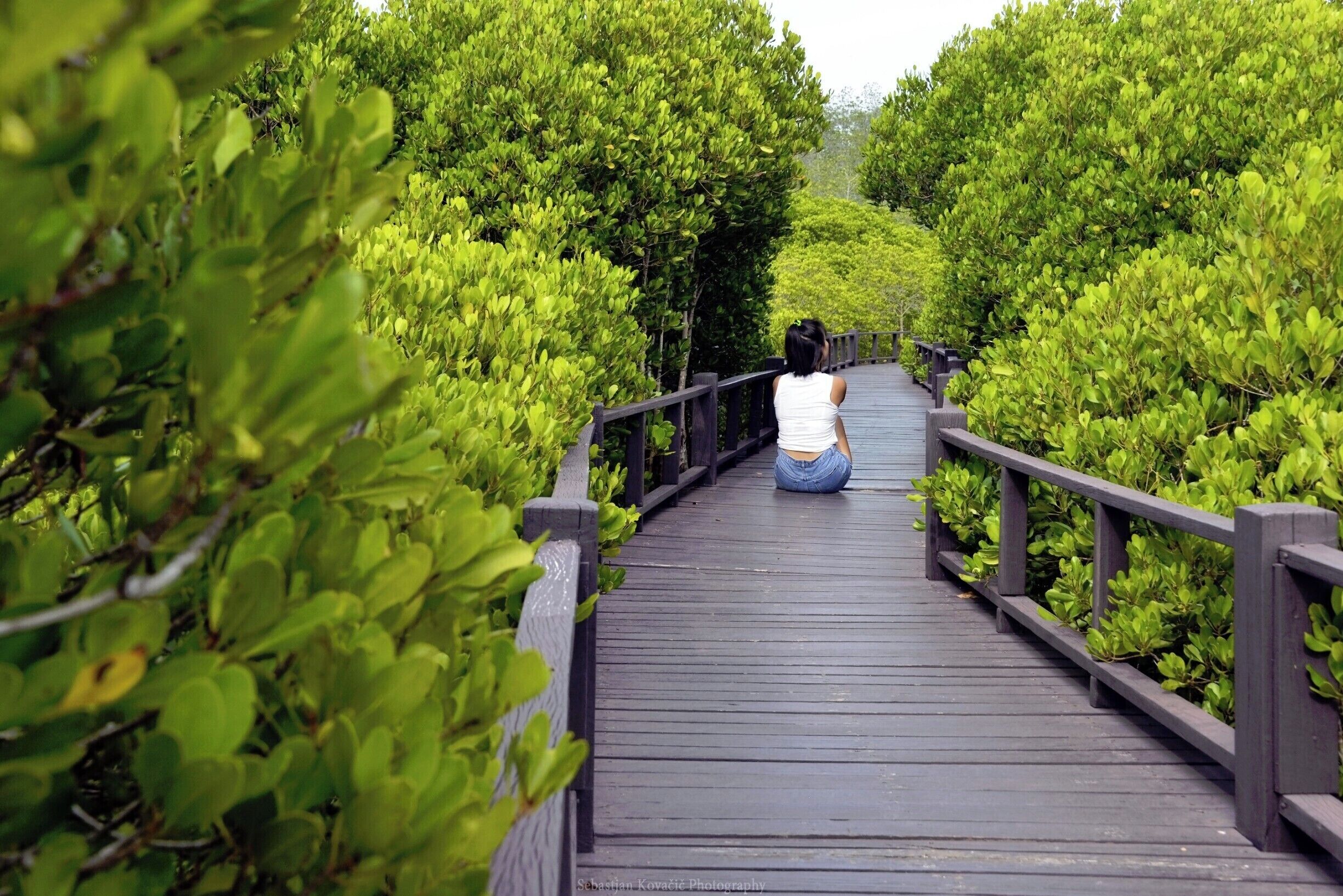#Pranburi #ForestPark #PrachuapKhiriKhan

#Thailand #Backpacking #TravelPhotography #TravelBlogger


See you also on Instagram: ExploreWithSeba  