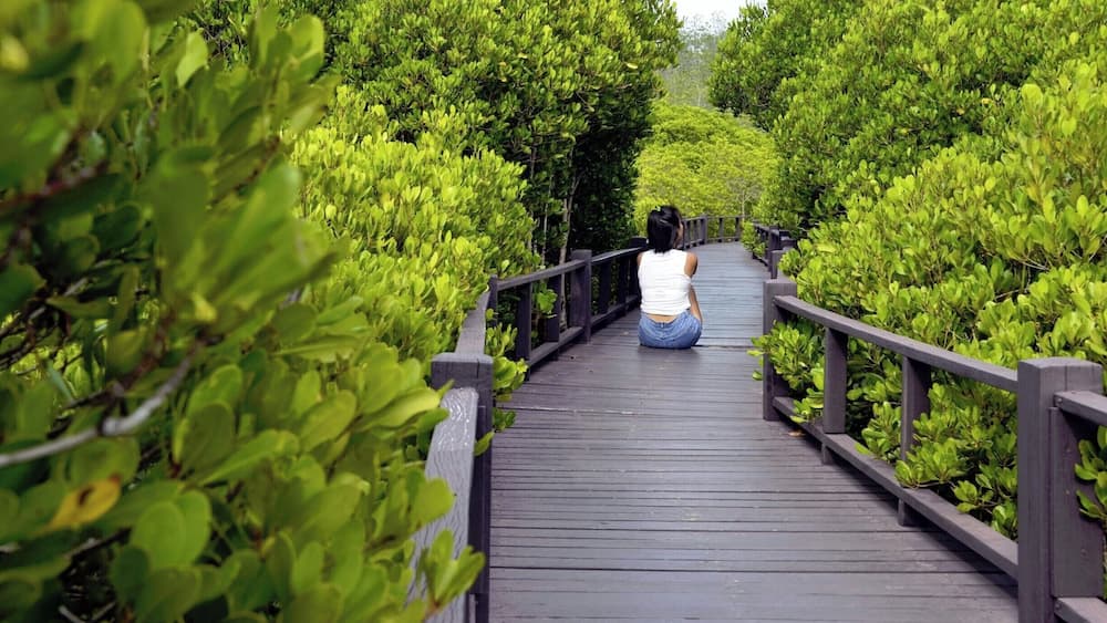 #Pranburi #ForestPark #PrachuapKhiriKhan
#Thailand #Backpacking #TravelPhotography #TravelBlogger
See you also on Instagram: ExploreWithSeba