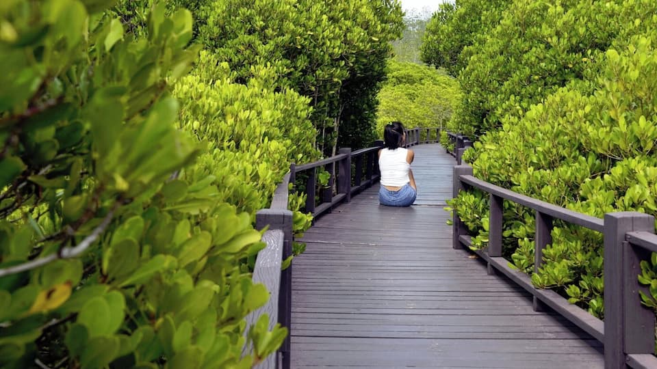 #Pranburi #ForestPark #PrachuapKhiriKhan
#Thailand #Backpacking #TravelPhotography #TravelBlogger
See you also on Instagram: ExploreWithSeba