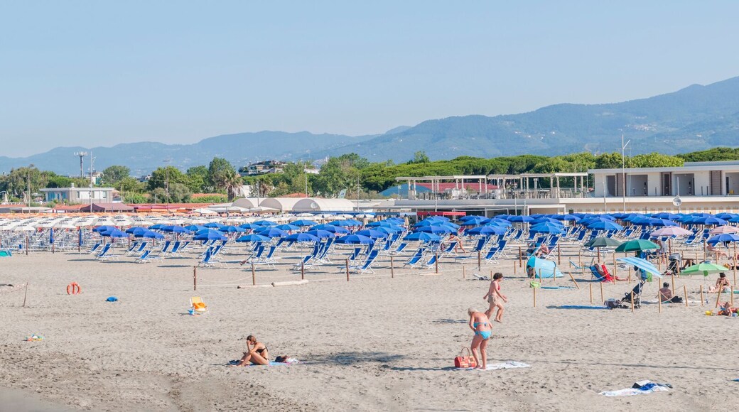Large panorama of the beaches and seaside resorts of Marina di Carrara, Tuscany in Italy after anti-covid-19 measures