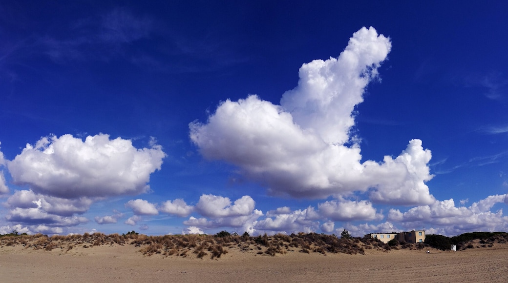 Italy, Tuscany, Maremma, Marina di Grosseto panoramic photo from the beach, in the background the port and castle of Castiglione della Pescaia.