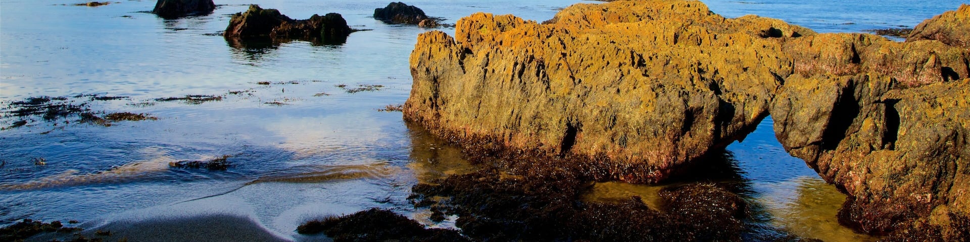 Caseys Beach showing rocky coastline and a beach