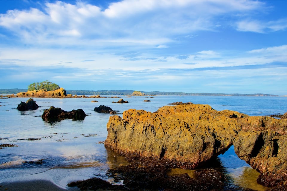 A coastal landscape with prominent rock formations and a distant tree-covered island.